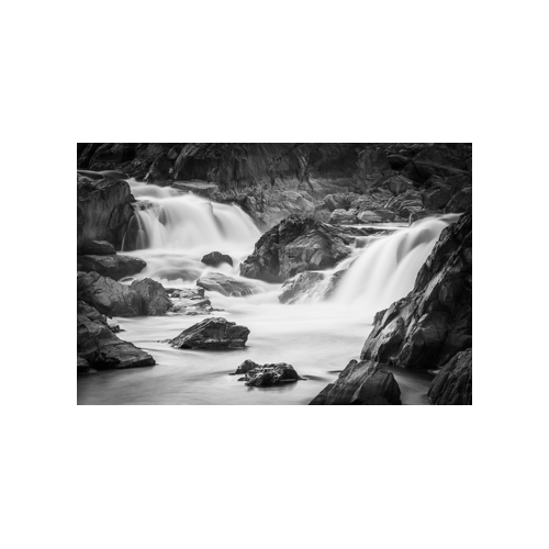 Featured Local Artists at Gallery Framing Baltimore Maryland