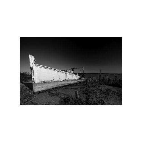 Featured Local Artists at Gallery Framing Baltimore Maryland